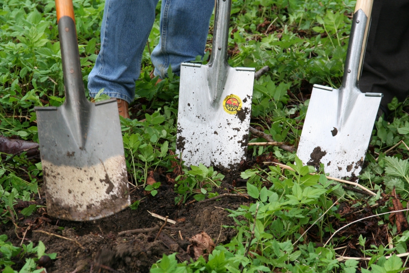 pepiniere-LES SALLES SUR VERDON-min_work-lawn-flower-tool-green-backyard-1103633-pxhere.com